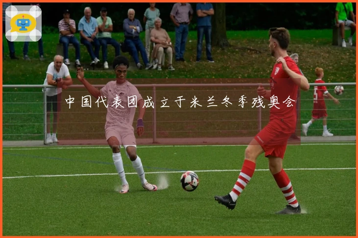 中国代表团成立于米兰冬季残奥会